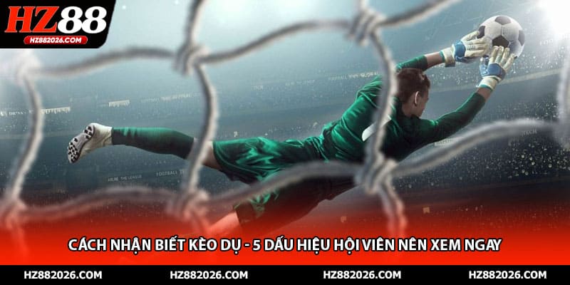 Cách Nhận Biết Kèo Dụ - 5 Dấu Hiệu Hội Viên Nên Xem Ngay