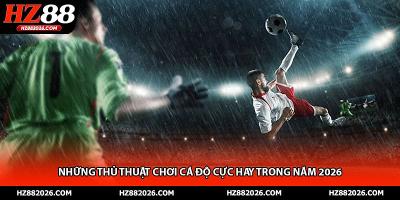Những thủ thuật chơi cá độ cực hay trong năm 2026